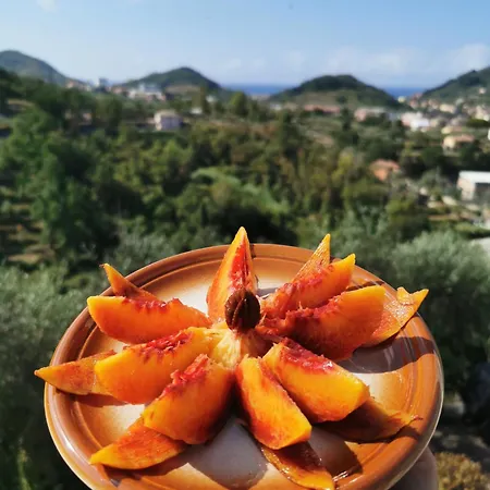 Le Fiabe Nocleg ze śniadaniem Sestri Levante